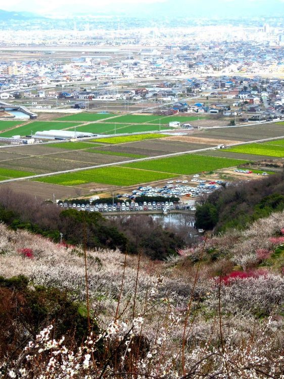 たつの市風景